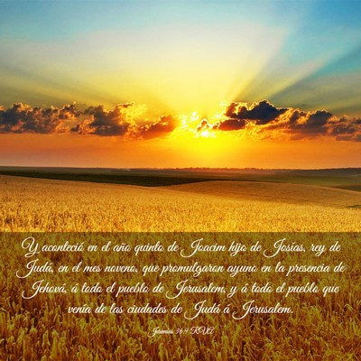 Picture 03 - Jeremías 36:9 RVA - Y aconteció en el año quinto de Joacim hijo de - Bible Verse Picture