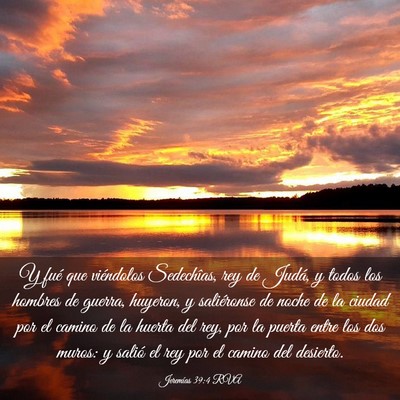 Picture 03 - Jeremías 39:4 RVA - Y fué que viéndolos Sedechîas, rey de Judá, y - Bible Verse Picture
