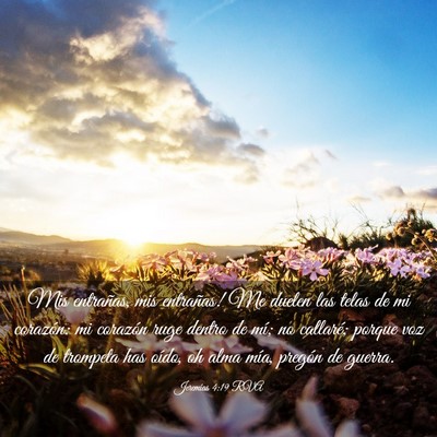 Picture 03 - Jeremías 4:19 RVA - Mis entrañas, mis entrañas! Me duelen las telas - Bible Verse Picture