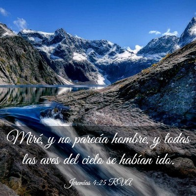 Picture 03 - Jeremías 4:25 RVA - Miré, y no parecía hombre, y todas las aves del - Bible Verse Picture
