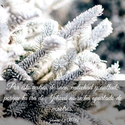 Picture 03 - Jeremías 4:8 RVA - Por esto vestíos de saco, endechad y aullad; - Bible Verse Picture