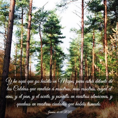 Picture 03 - Jeremías 40:10 RVA - Y he aquí que yo habito en Mizpa, para estar - Bible Verse Picture