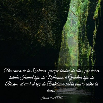 Picture 03 - Jeremías 41:18 RVA - Por causa de los Caldeos: porque temían de - Bible Verse Picture
