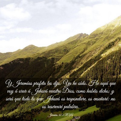 Picture 03 - Jeremías 42:4 RVA - Y Jeremías profeta les dijo: Ya he oído. He - Bible Verse Picture