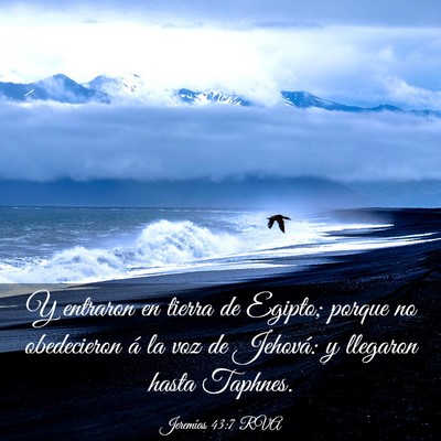 Picture 03 - Jeremías 43:7 RVA - Y entraron en tierra de Egipto; porque no - Bible Verse Picture