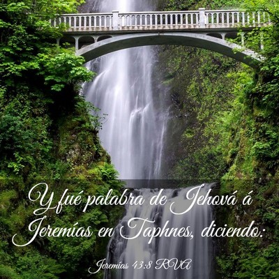Picture 03 - Jeremías 43:8 RVA - Y fué palabra de Jehová á Jeremías en - Bible Verse Picture
