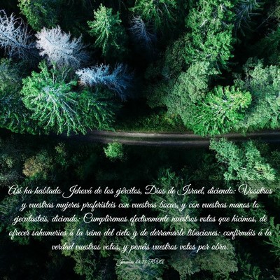 Picture 03 - Jeremías 44:25 RVA - Así ha hablado Jehová de los ejércitos, Dios - Bible Verse Picture