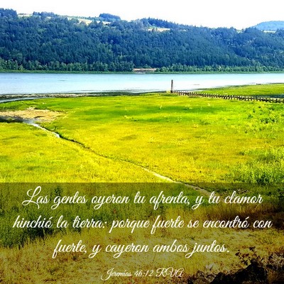 Picture 03 - Jeremías 46:12 RVA - Las gentes oyeron tu afrenta, y tu clamor - Bible Verse Picture