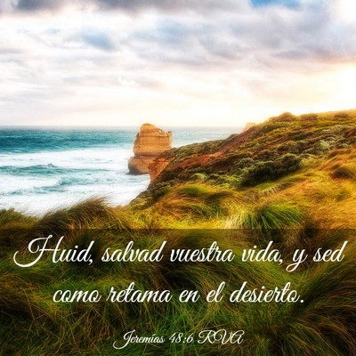 Picture 03 - Jeremías 48:6 RVA - Huid, salvad vuestra vida, y sed como retama en - Bible Verse Picture