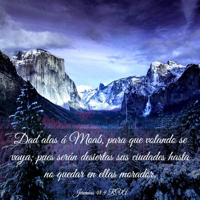 Picture 03 - Jeremías 48:9 RVA - Dad alas á Moab, para que volando se vaya; pues - Bible Verse Picture