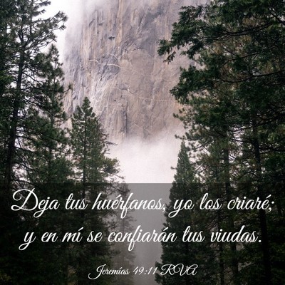 Picture 03 - Jeremías 49:11 RVA - Deja tus huérfanos, yo los criaré; y en mí se - Bible Verse Picture