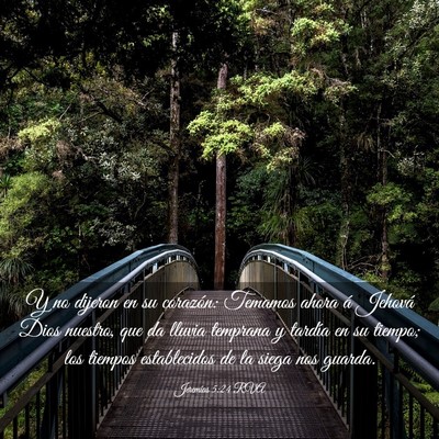 Picture 03 - Jeremías 5:24 RVA - Y no dijeron en su corazón: Temamos ahora á - Bible Verse Picture