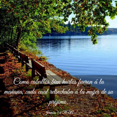 Picture 03 - Jeremías 5:8 RVA - Como caballos bien hartos fueron á la mañana, - Bible Verse Picture