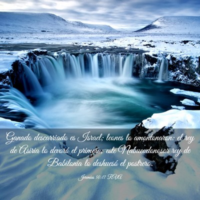 Picture 03 - Jeremías 50:17 RVA - Ganado descarriado es Israel; leones lo - Bible Verse Picture