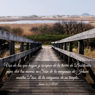 Picture 03 - Jeremías 50:28 RVA - Voz de los que huyen y escapan de la tierra de - Bible Verse Picture