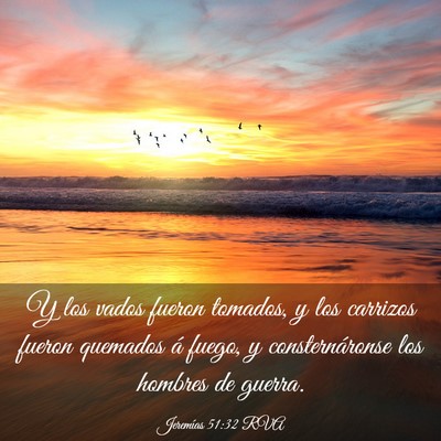 Picture 03 - Jeremías 51:32 RVA - Y los vados fueron tomados, y los carrizos fueron - Bible Verse Picture