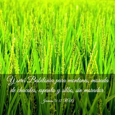 Picture 03 - Jeremías 51:37 RVA - Y será Babilonia para montones, morada de - Bible Verse Picture