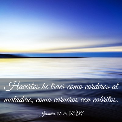 Picture 03 - Jeremías 51:40 RVA - Hacerlos he traer como corderos al matadero, como - Bible Verse Picture