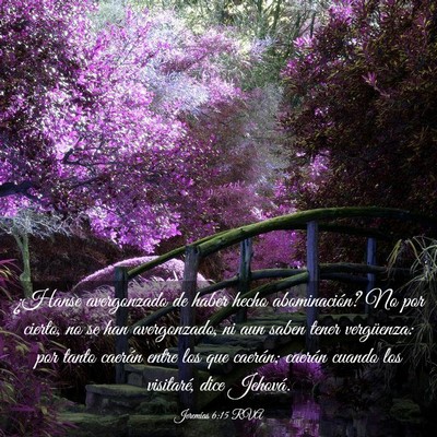 Picture 03 - Jeremías 6:15 RVA - ¿Hanse avergonzado de haber hecho abominación? - Bible Verse Picture