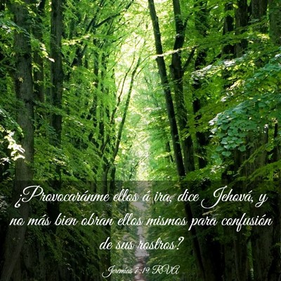 Picture 03 - Jeremías 7:19 RVA - ¿Provocaránme ellos á ira, dice Jehová, y no - Bible Verse Picture