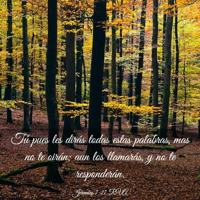 Picture 03 - Jeremías 7:27 RVA - Tú pues les dirás todas estas palabras, mas no - Bible Verse Picture