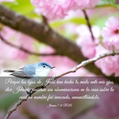 Picture 03 - Jeremías 7:30 RVA - Porque los hijos de Judá han hecho lo malo ante - Bible Verse Picture
