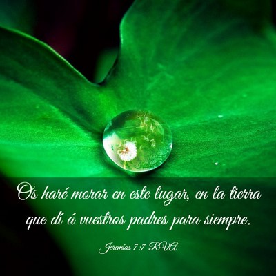 Picture 03 - Jeremías 7:7 RVA - Os haré morar en este lugar, en la tierra que - Bible Verse Picture