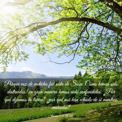 Picture 03 - Jeremías 9:19 RVA - Porque voz de endecha fué oída de Sión: - Bible Verse Picture
