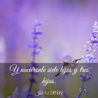 Picture 03 - Job 1:2 RVA - Y naciéronle siete hijos y tres - Bible Verse Picture