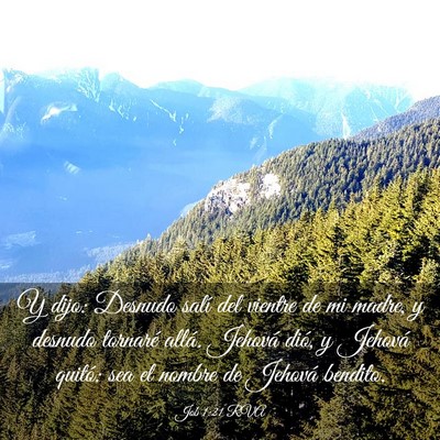 Picture 03 - Job 1:21 RVA - Y dijo: Desnudo salí del vientre de mi madre, y - Bible Verse Picture