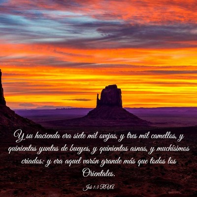 Picture 03 - Job 1:3 RVA - Y su hacienda era siete mil ovejas, y tres mil - Bible Verse Picture