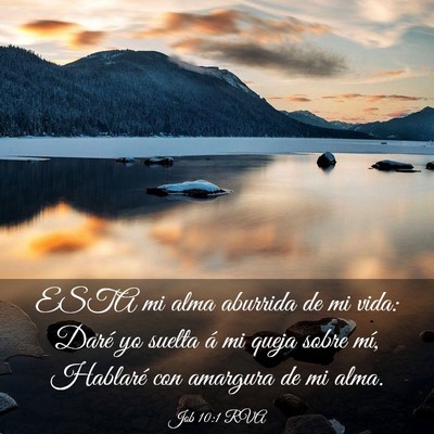 Picture 03 - Job 10:1 RVA - ESTA mi alma aburrida de mi vida: Daré yo suelta - Bible Verse Picture