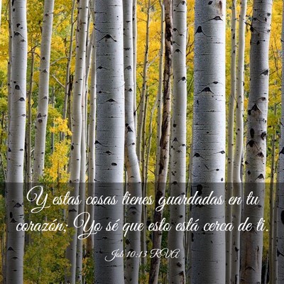 Picture 03 - Job 10:13 RVA - Y estas cosas tienes guardadas en tu corazón; Yo - Bible Verse Picture