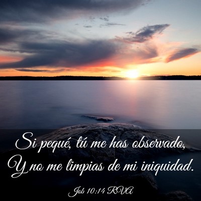 Picture 03 - Job 10:14 RVA - Si pequé, tú me has observado, Y no me limpias - Bible Verse Picture