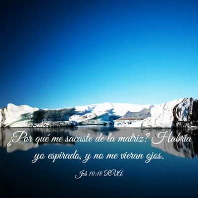 Picture 03 - Job 10:18 RVA - ¿Por qué me sacaste de la matriz? Habría yo - Bible Verse Picture