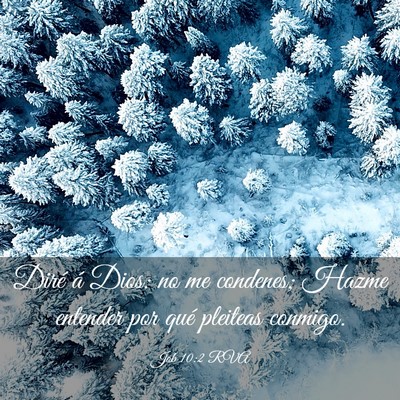 Picture 03 - Job 10:2 RVA - Diré á Dios: no me condenes; Hazme entender por - Bible Verse Picture