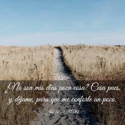Picture 03 - Job 10:20 RVA - ¿No son mis días poca cosa? Cesa pues, y - Bible Verse Picture