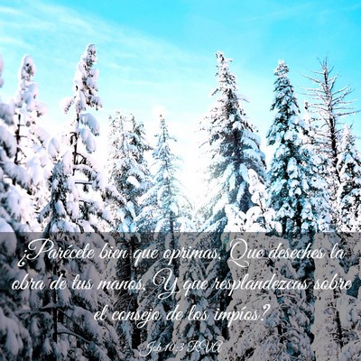 Picture 03 - Job 10:3 RVA - ¿Parécete bien que oprimas, Que deseches la - Bible Verse Picture