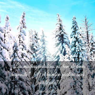 Picture 03 - Job 11:2 RVA - ¿Las muchas palabras no han de tener respuesta? - Bible Verse Picture