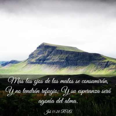Picture 03 - Job 11:20 RVA - Mas los ojos de los malos se consumirán, Y no - Bible Verse Picture