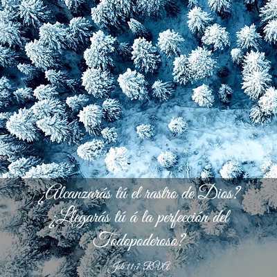 Picture 03 - Job 11:7 RVA - ¿Alcanzarás tú el rastro de Dios? ¿Llegarás - Bible Verse Picture