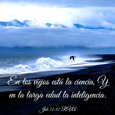 Picture 03 - Job 12:12 RVA - En los viejos está la ciencia, Y en la larga - Bible Verse Picture