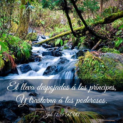 Picture 03 - Job 12:19 RVA - El lleva despojados á los príncipes, Y - Bible Verse Picture