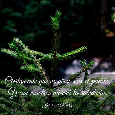 Picture 03 - Job 12:2 RVA - Ciertamente que vosotros sois el pueblo; Y con - Bible Verse Picture