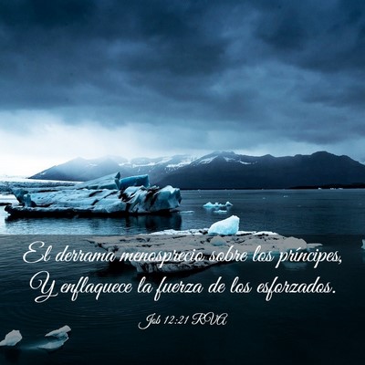 Picture 03 - Job 12:21 RVA - El derrama menosprecio sobre los príncipes, Y - Bible Verse Picture