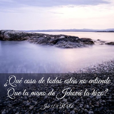 Picture 03 - Job 12:9 RVA - ¿Qué cosa de todas estas no entiende Que la - Bible Verse Picture