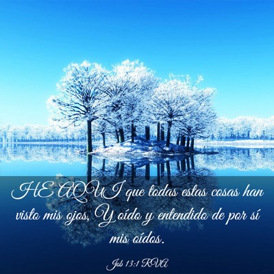 Picture 03 - Job 13:1 RVA - HE AQUI que todas estas cosas han visto mis ojos, - Bible Verse Picture