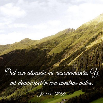 Picture 03 - Job 13:17 RVA - Oid con atención mi razonamiento, Y mi - Bible Verse Picture