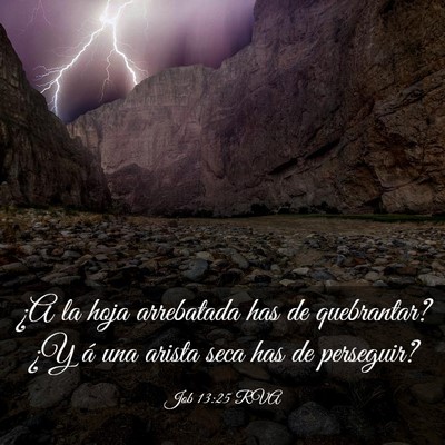 Picture 03 - Job 13:25 RVA - ¿A la hoja arrebatada has de quebrantar? ¿Y á - Bible Verse Picture