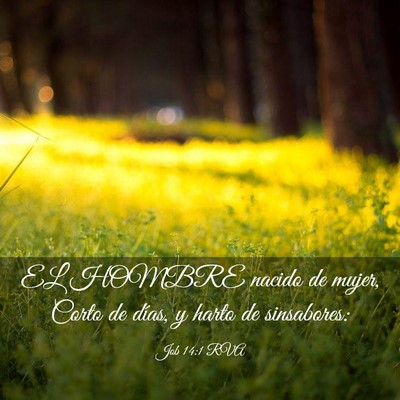 Picture 03 - Job 14:1 RVA - EL HOMBRE nacido de mujer, Corto de días, y - Bible Verse Picture